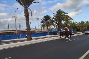 Carreras de caballos en Telde por San Gregorio (Foto TA y TF)